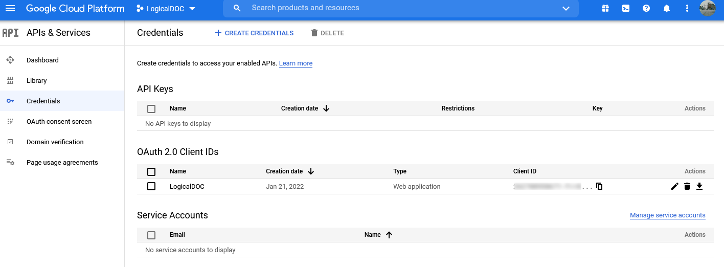 Google Drive API credentials lis